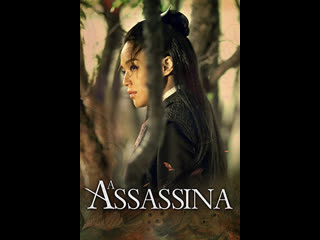 the assassina 2015 - martial arts (subtitled)